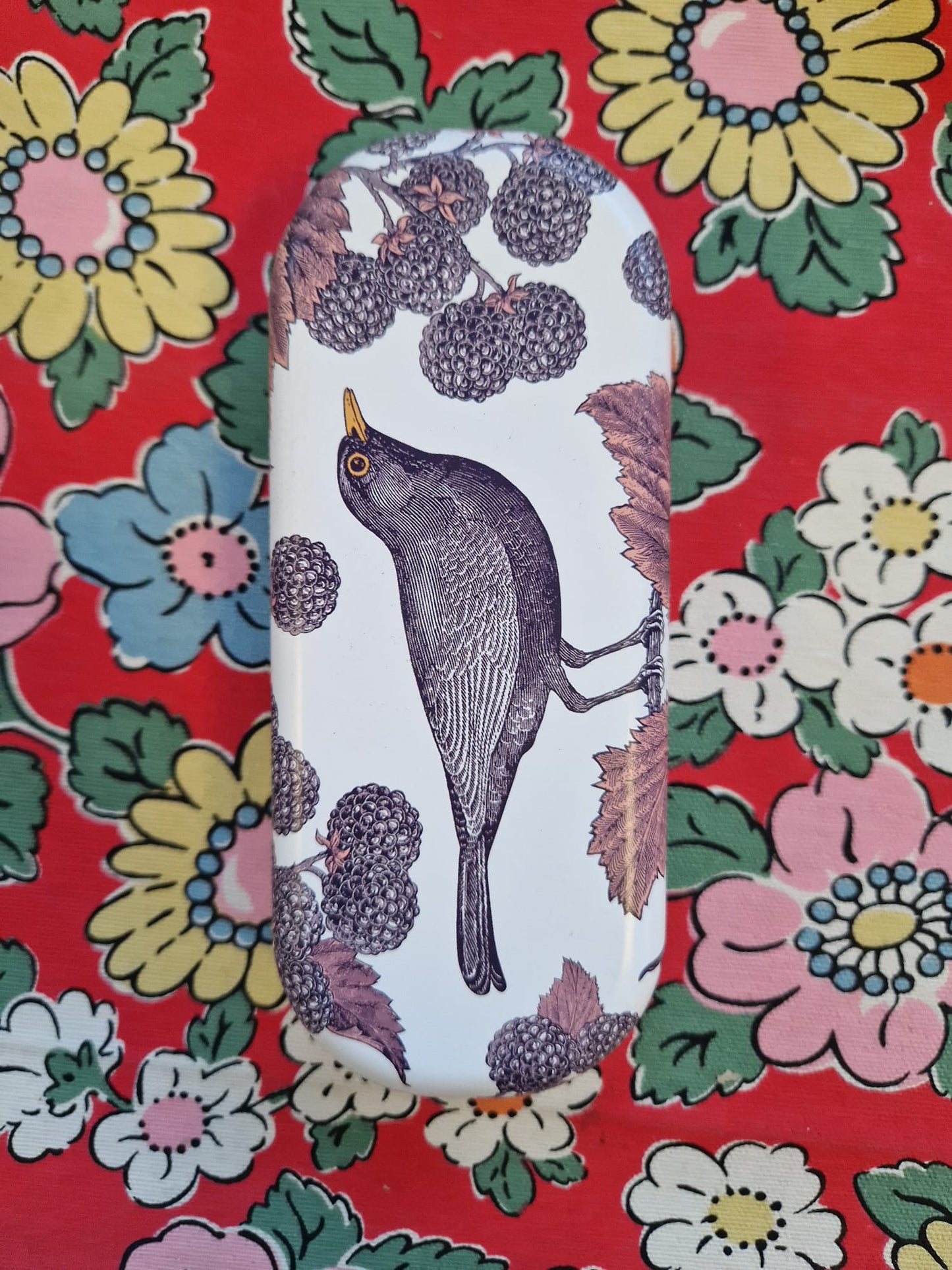 Emma Bridgewater & Thornback and Peel Glasses Cases