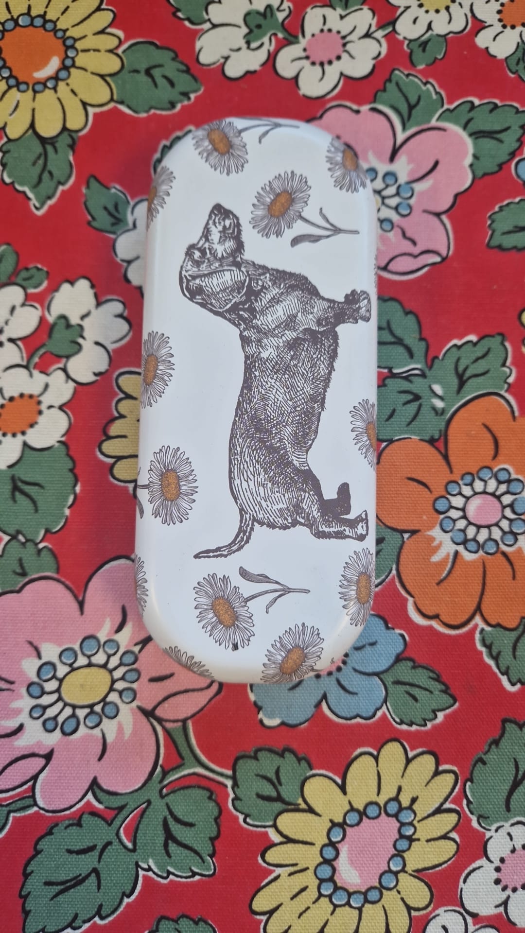 Emma Bridgewater & Thornback and Peel Glasses Cases