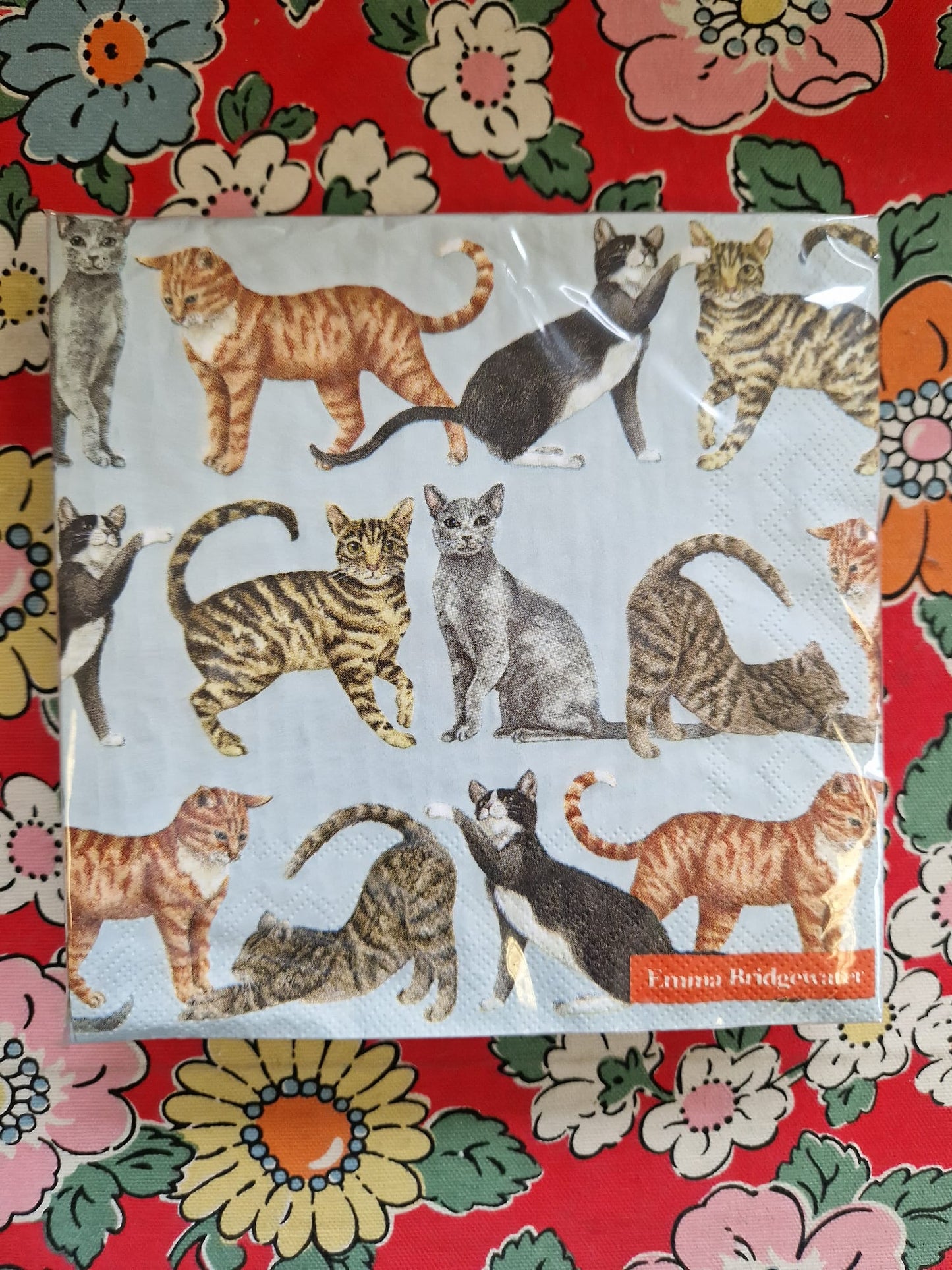 Emma Bridgewater 20x Napkins 33x33
