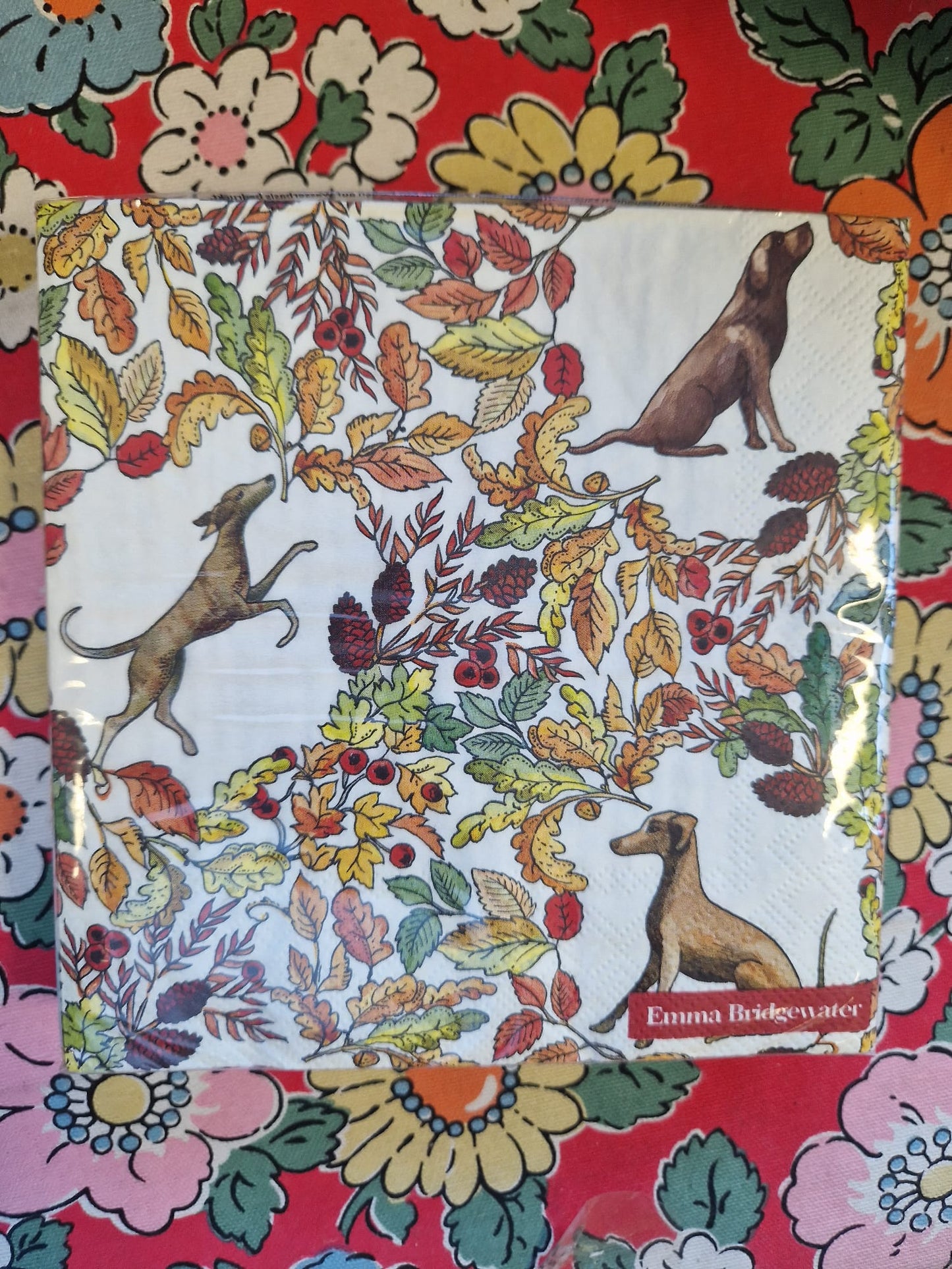 Emma Bridgewater 20x Napkins 33x33