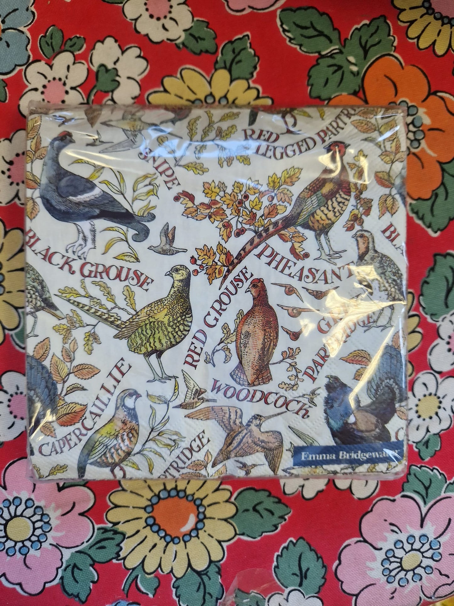Emma Bridgewater 20x Napkins 33x33