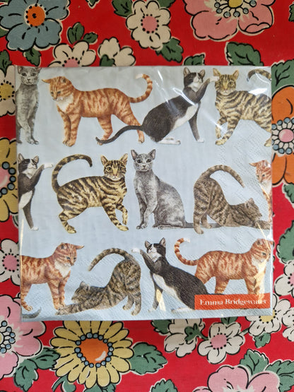 Emma Bridgewater 20x Napkins 33x33