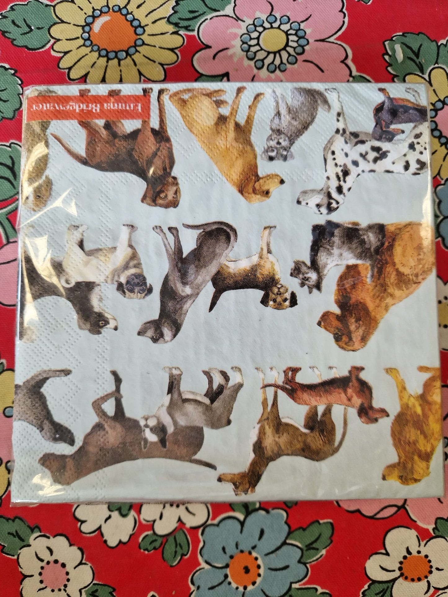 Emma Bridgewater 20x Napkins 33x33