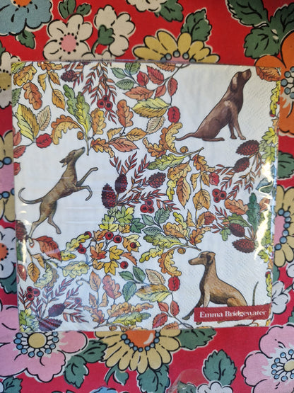 Emma Bridgewater 20x Napkins 33x33