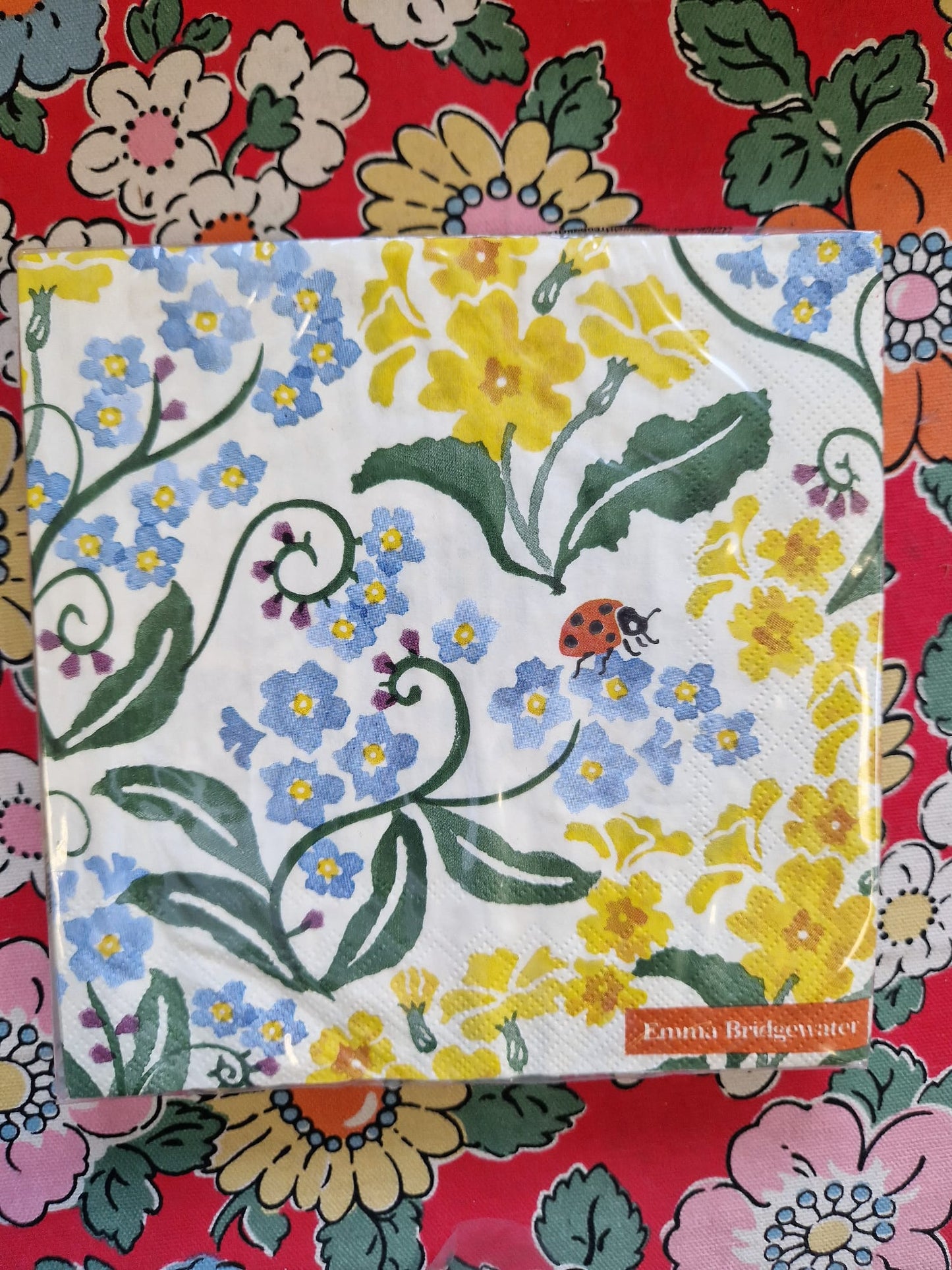 Emma Bridgewater 20x Napkins 33x33