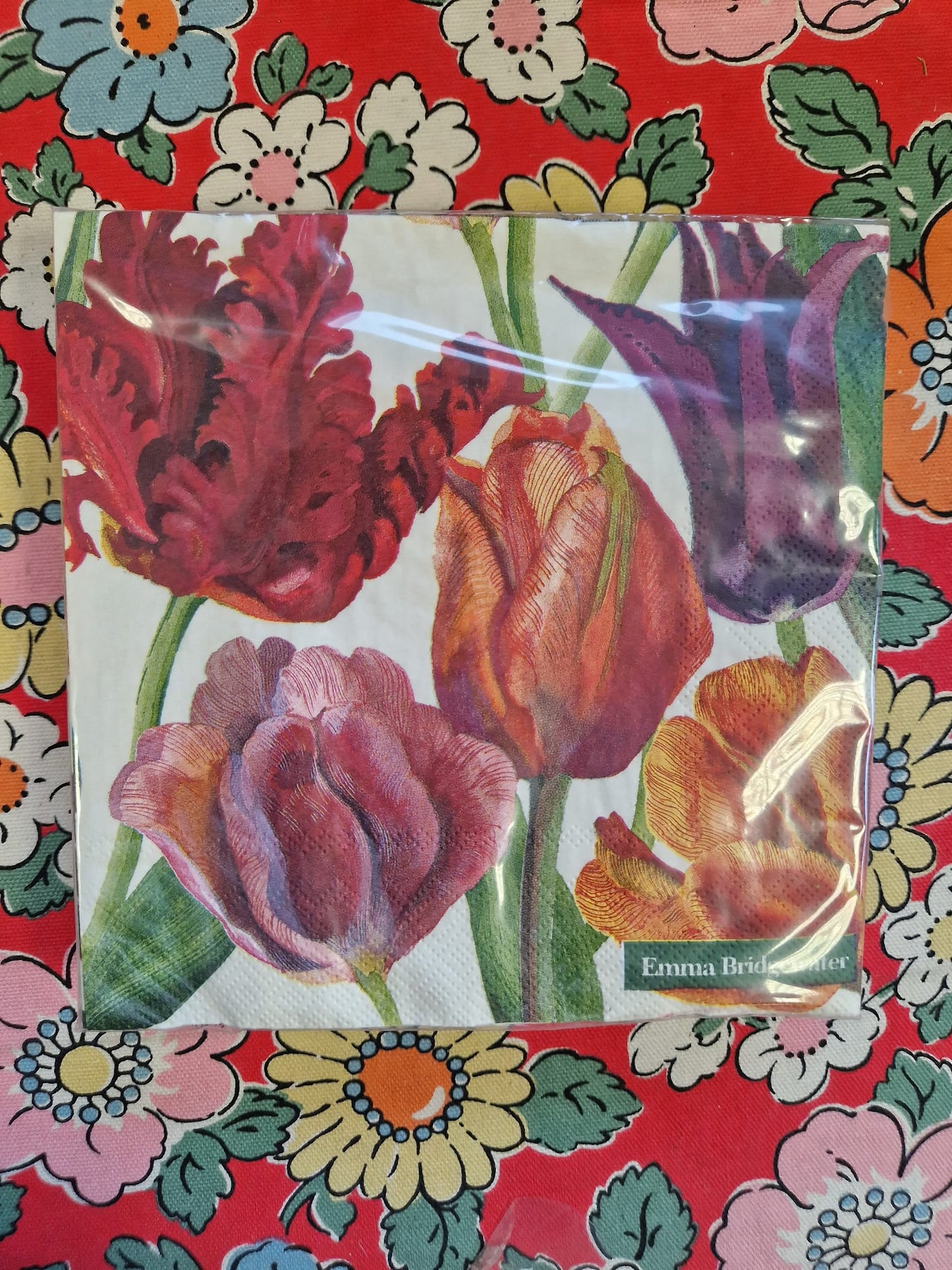 Emma Bridgewater 20x Napkins 33x33